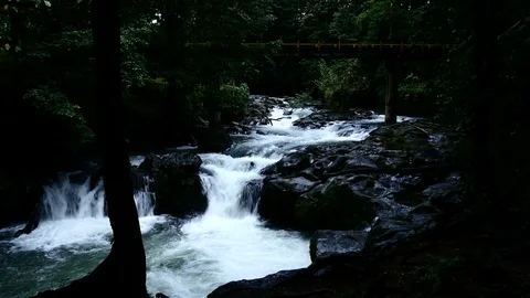 Rio Burio medium Stock Footage 126551557