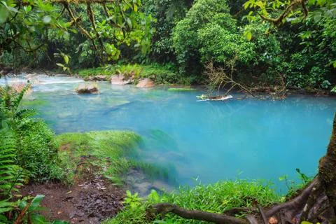 Rio celeste and vegetation Stock Photos