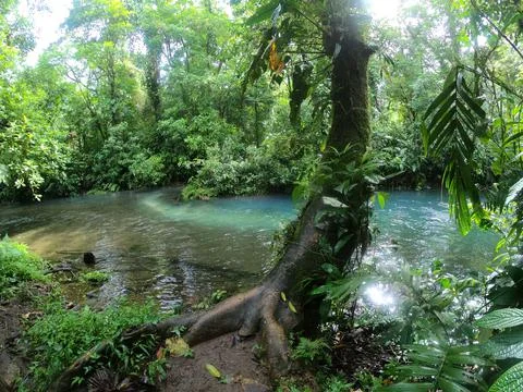 Rio claro y turquesa se juntan en parque nacional de Costa Rica Stock Photos