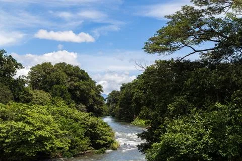 Rio Corobici Stock Photos