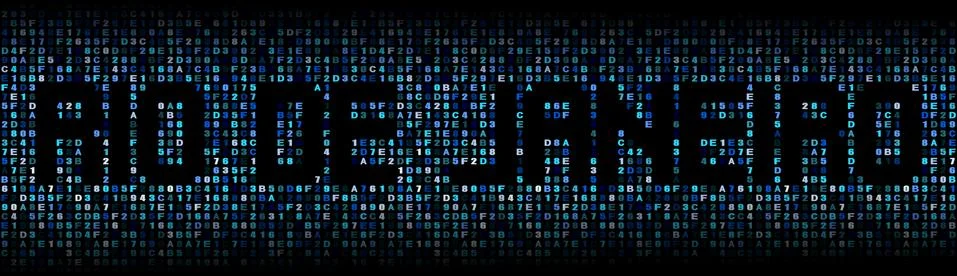 Rio de Janeiro text on hex code illustration Stock Illustration