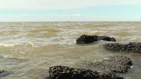 Rio de la Plata brown water Stock Footage 218619320