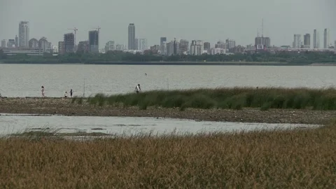 Rio de la plata in Buenos Aires Video stock 139283823