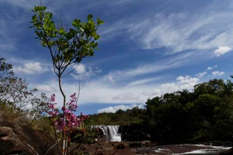 Rio do ouro - mt Stock Photos