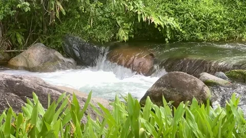 RIO EN CALMA Stock Footage 220719678