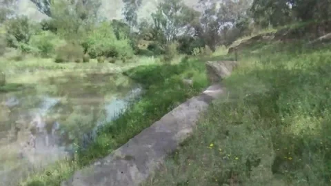 Rio Stock Footage 250446965