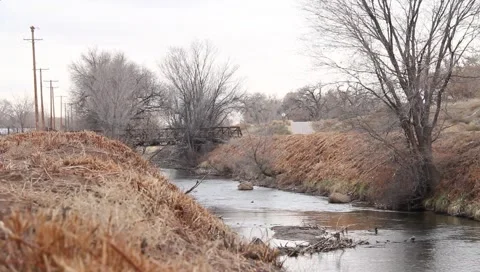 Rio Grande Bosque Stock Footage 1000447