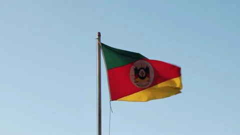 Rio Grande do Sul Flag, Clear Sky Vidéo 341022364