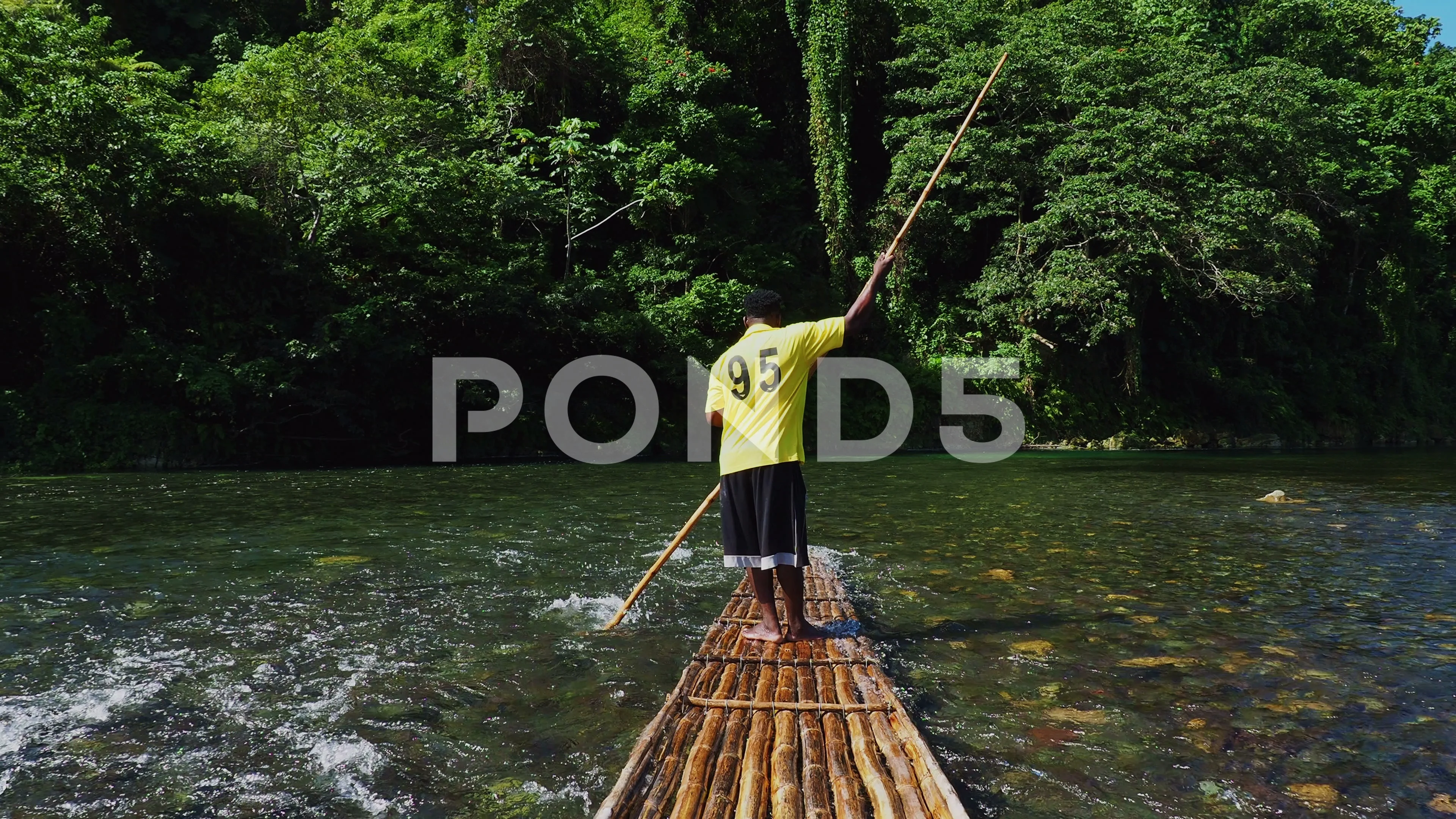 Rio Grande Rafting In Jamaica Stock Video Pond5