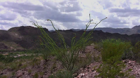 Rio Grande River 3 Stock Footage 25510751