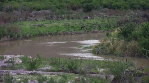 Rio Grande River 4 Stock Footage 25512459