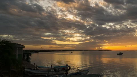 Río Lagartos timelapse at sunset Stock Footage 232641422