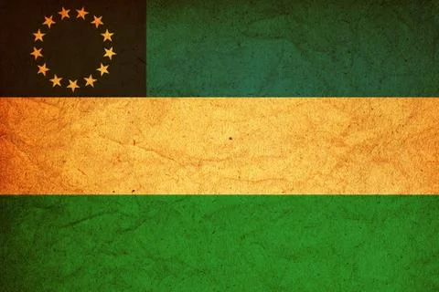 Rio negro flag Stock Illustration