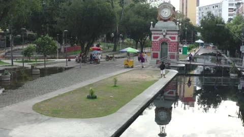 Rio Negro record flood Stock Footage 155187044