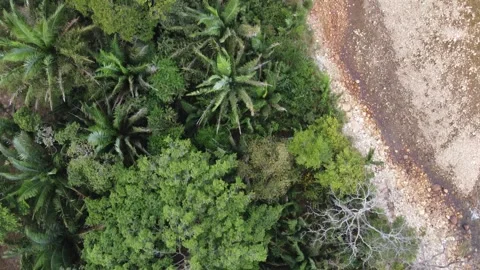 Rio tame 스톡 동영상 272181105