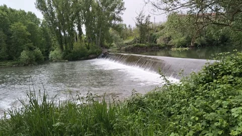 Rio Ter Small Waterfall Static Shot, Roda de Ter Riverbank Video stock 308180147