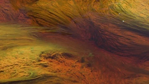 Rio Tintillo river Stock Footage 79544377