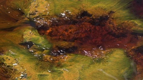 Rio Tintillo river Stock Footage 79544407