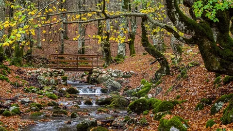 Rio Torto stream Video stock 128763687