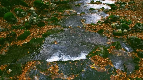 Rio Torto stream Stock Footage 128813147