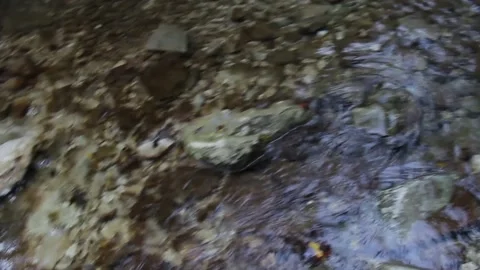 Rio Vitoschio waterfall Stock Footage 142594218