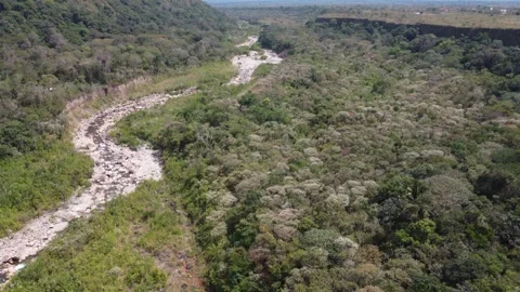 Rio y selva Video stock 272181328