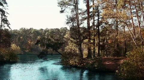 A Riot Of Colors 스톡 동영상 68753672