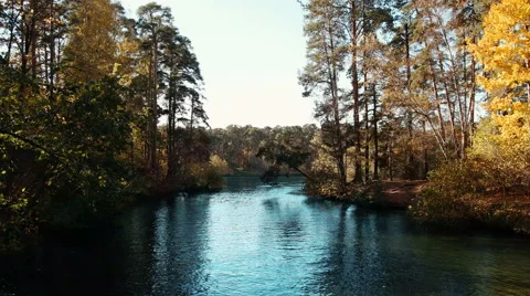 A Riot Of Colors Video stock 68754394