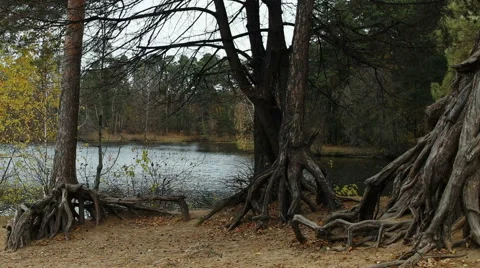 A Riot Of Colors Stock-Footage 69015341