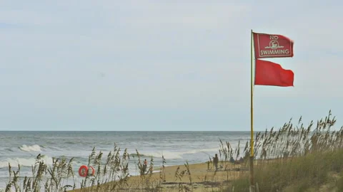 Rip current red flag no swimming flag beach 스톡 동영상 293014745