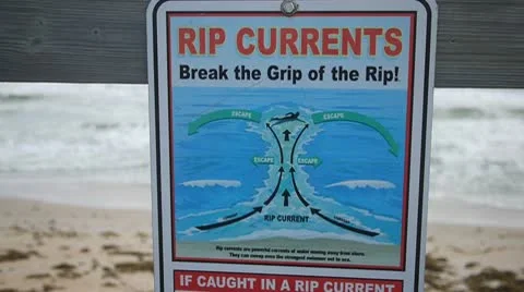 Rip Current Warning sign in Florida Vidéo 8983467