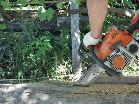 Rip-cutting an old log with a chainsaw in the yard. Photos