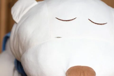 A rip on the face of a stuffed bear Stock Photos