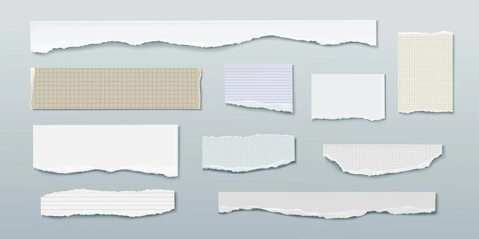 Rip notebook page with torn paper edge vector 스톡 일러스트