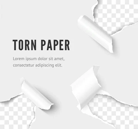 Rip paper corner set vector realistic illustration Stock Illustration