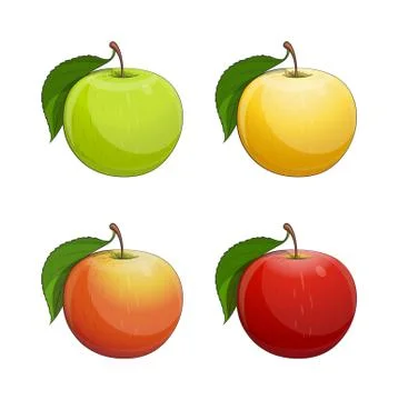 Ripe apple with green leaf Stock Illustration