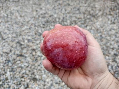 Ripe apple in a hand 库存照片