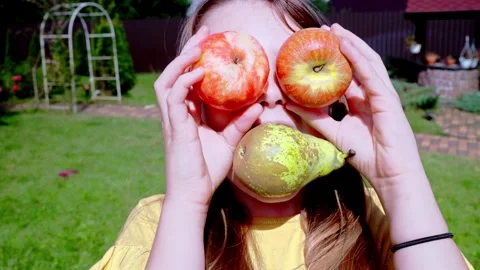 Ripe Apple Hanging on a Tree Branch Stock Footage 317427571