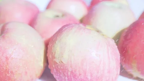 Ripe Apple Hanging on a Tree Branch Stock Footage 317427864