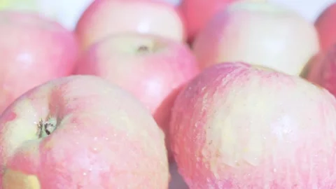 Ripe Apple Hanging on a Tree Branch Stock Footage 317427927