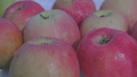 Ripe Apple Hanging on a Tree Branch Stock Footage 317427938