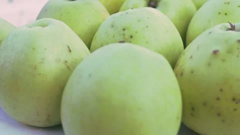 Ripe Apple Hanging on a Tree Branch Stock Footage 317427945
