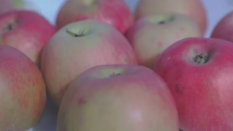 Ripe Apple Hanging on a Tree Branch Stock Footage 317428026