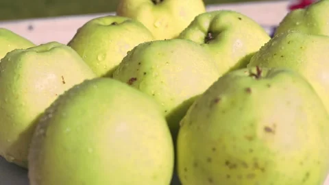 Ripe Apple Hanging on a Tree Branch Stock Footage 317428057