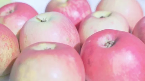 Ripe Apple Hanging on a Tree Branch Stock Footage 317428064
