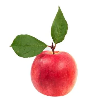 Ripe apple with leaf Stock Photos
