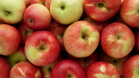 Ripe apples - background. Red apples. Harvesting. Stock Footage 139573245