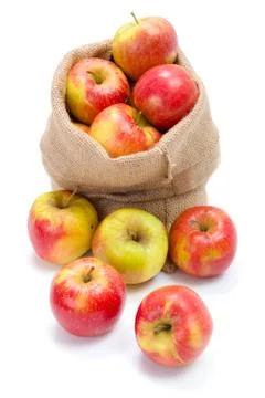 Ripe apples in burlap sack Stock Photos