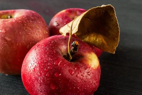 Ripe apples Stock Photos