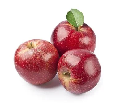 Ripe apples Stock Photos